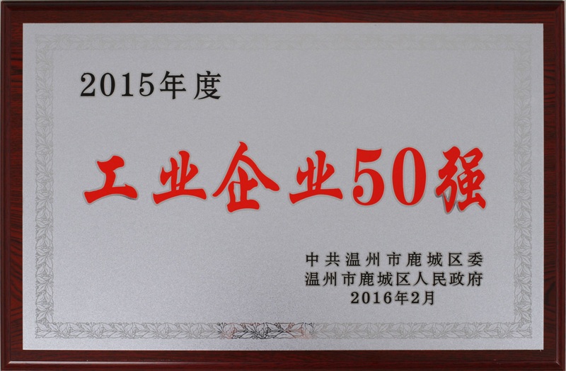 2016年 溫州市鹿城區(qū)工業(yè)企業(yè)50強(qiáng)（2015年度）